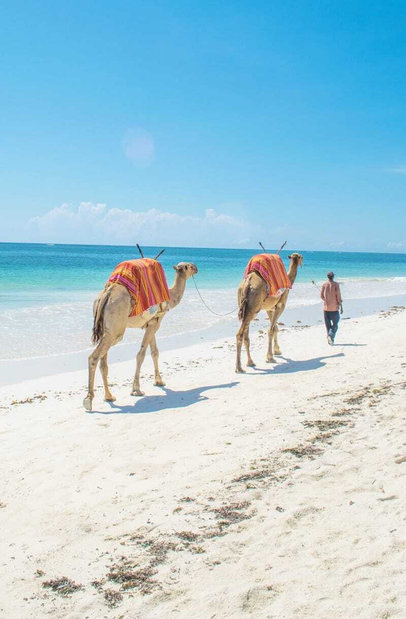 MarcyYu_Kenya_Diani_Beach6